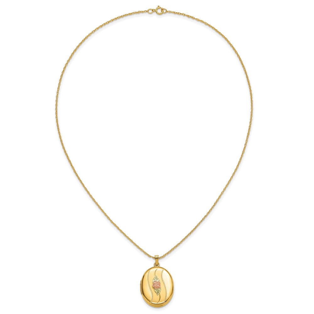 10k Tri Color w/ 12k Accents and 14k Gold-filled Chain Black Hills Locket