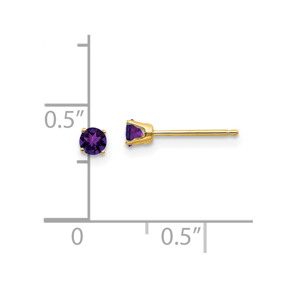 14K Yellow Gold 3mm February/Amethyst Post Earrings