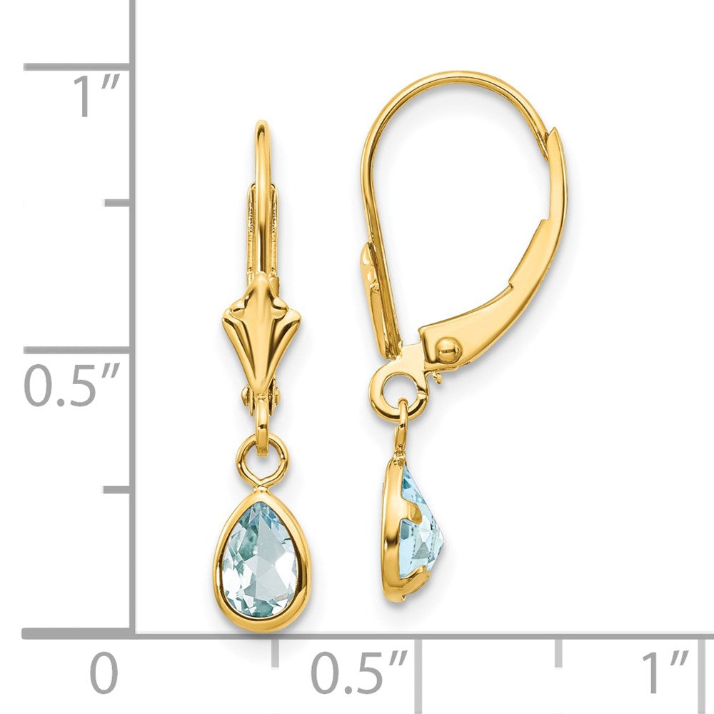 14K Yellow Gold 6X4mm March/Aquamarine Earrings