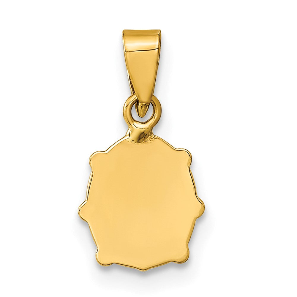 14K Yellow Gold Polished Red/Black Enamel Ladybug Pendant