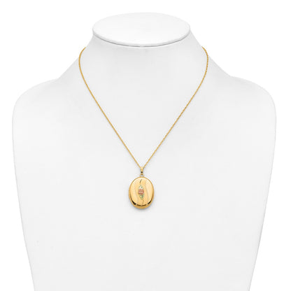 10k Tri Color w/ 12k Accents and 14k Gold-filled Chain Black Hills Locket