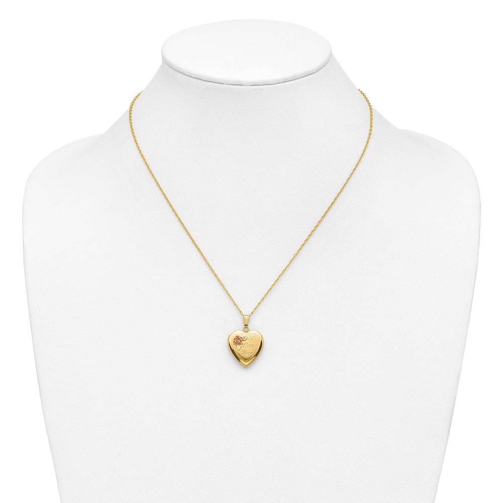 10k Tri Color w/ 12k Accents and 14k Gold-filled Chain Black Hills Locket