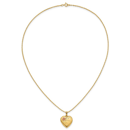 10k Tri Color w/ 12k Accents and 14k Gold-filled Chain Black Hills Locket