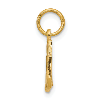 10k Yellow Gold 50th ANNIVERSARY Charm