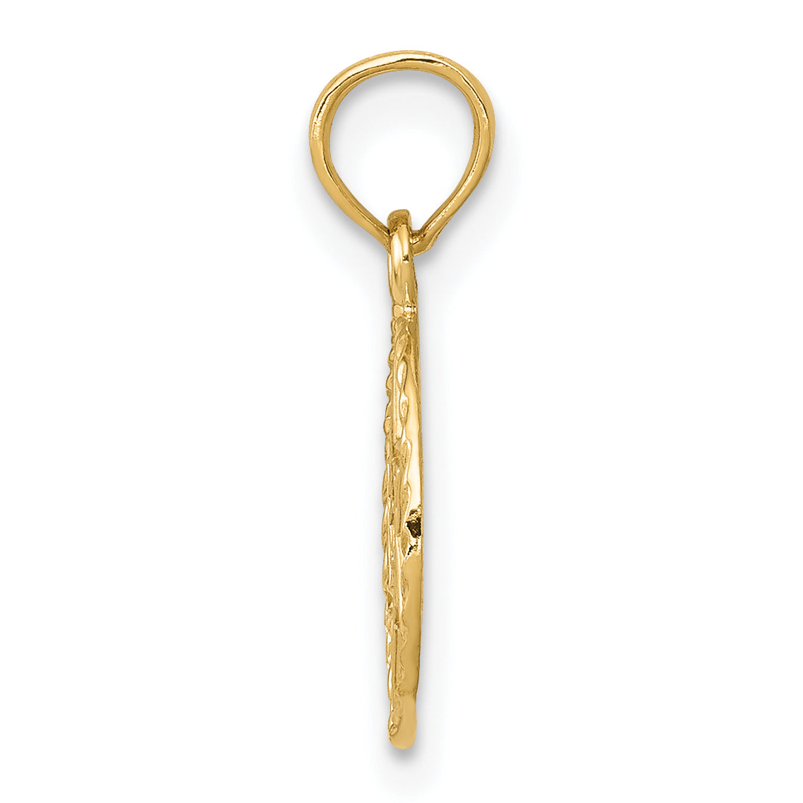 10K Yellow Gold 10K Star Of David In Circle Frame Pendant