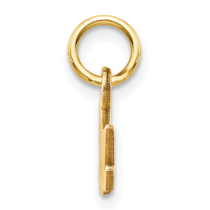10k Yellow Gold Satin NANA Charm