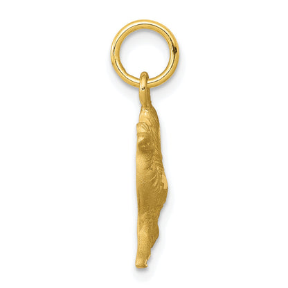 10K Yellow Gold Camel Charm
