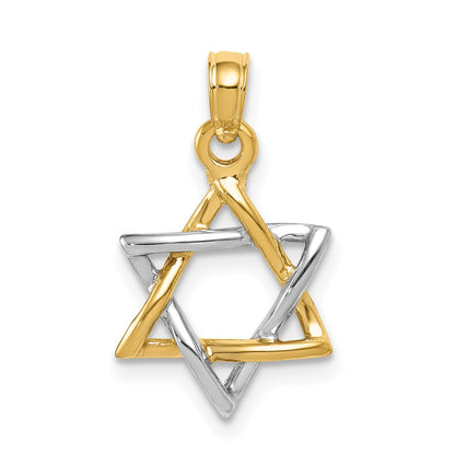 10K Two-Tone 10K Polished Star Of David Pendant
