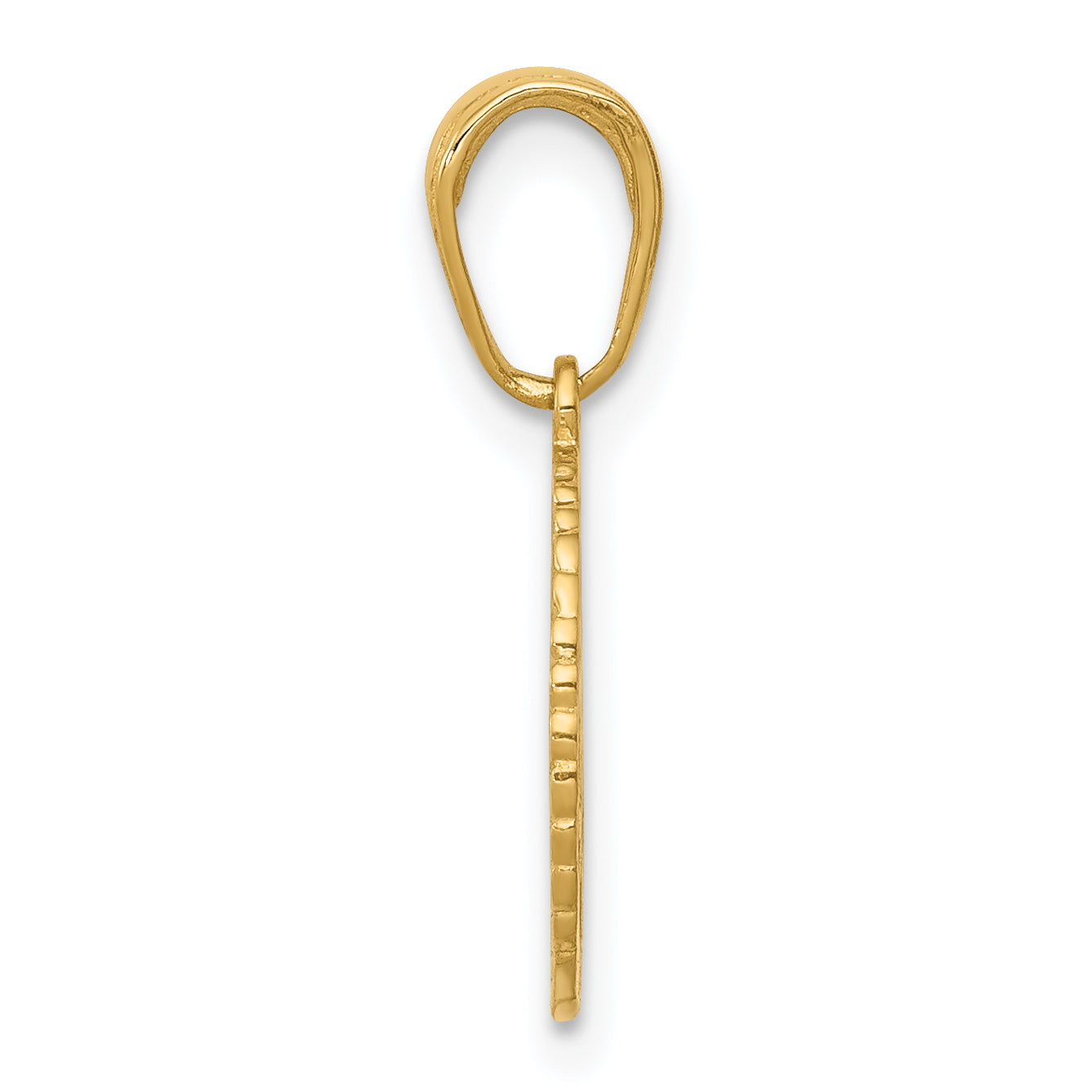 14K Yellow Gold Star Of David And Chai In Circle Pendant