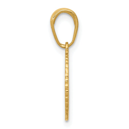 14K Yellow Gold Star Of David And Chai In Circle Pendant