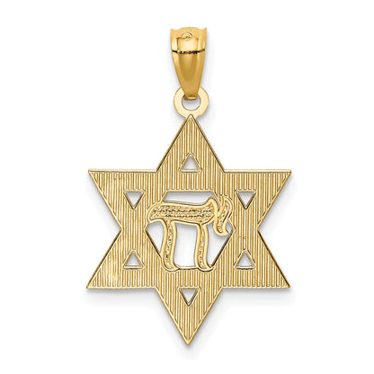 14K Yellow & Rhodium W/Rhodium Star Of David W/Chai Pendant