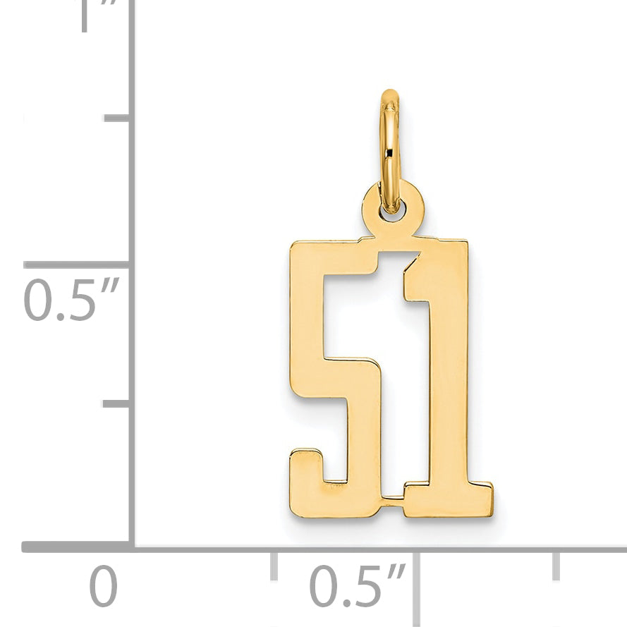 14K Yellow Gold Small Elongated Number 51 Charm