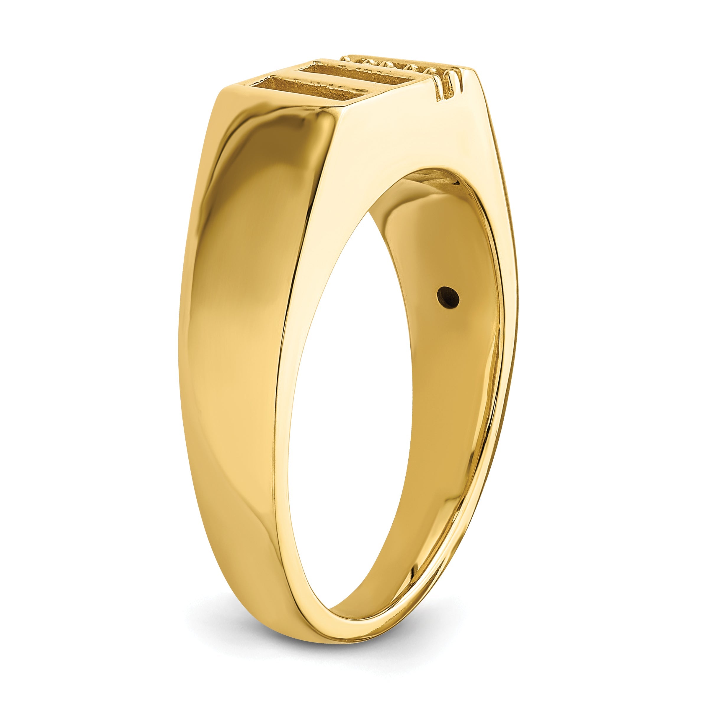 10K Yellow Gold 10K Mens Band Mounting