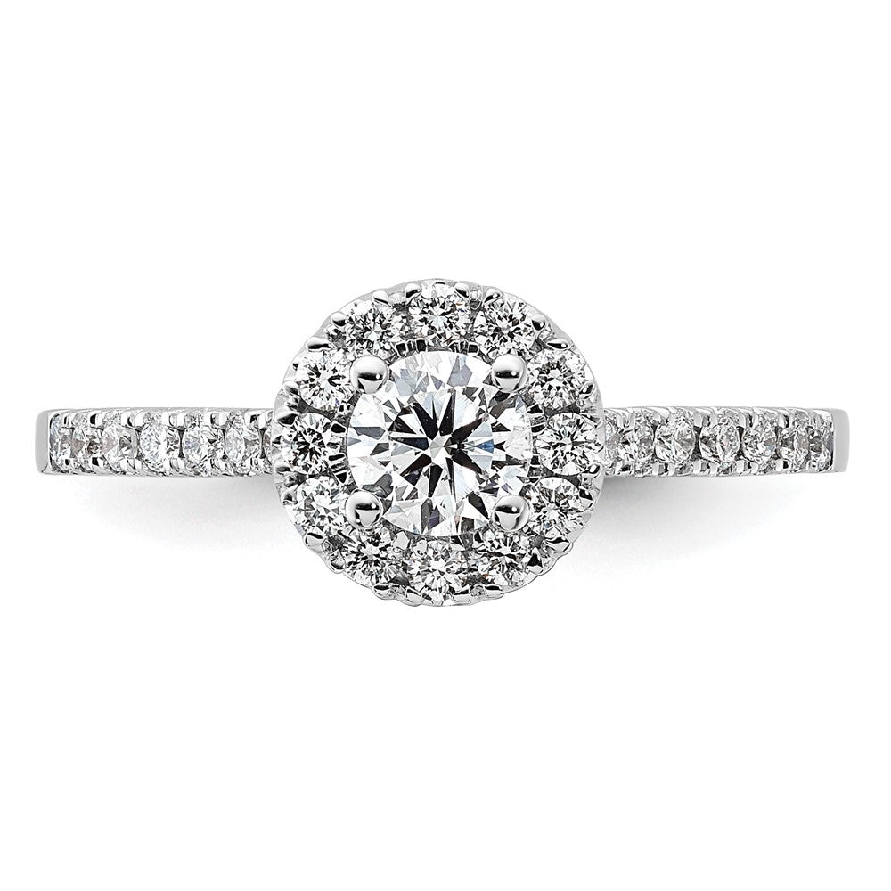 14K White Gold 3/4 Carat Lab Grown Diamond Vs/Si+ G+ Round Complete Halo Engagement Ring