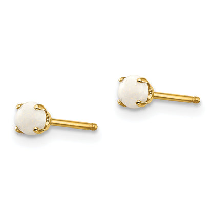 14K Yellow Gold 3mm October/Opal Post Earrings