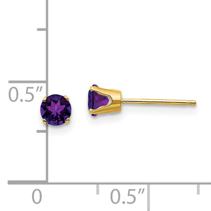 14K Yellow Gold 4mm February/Amethyst Post Earrings