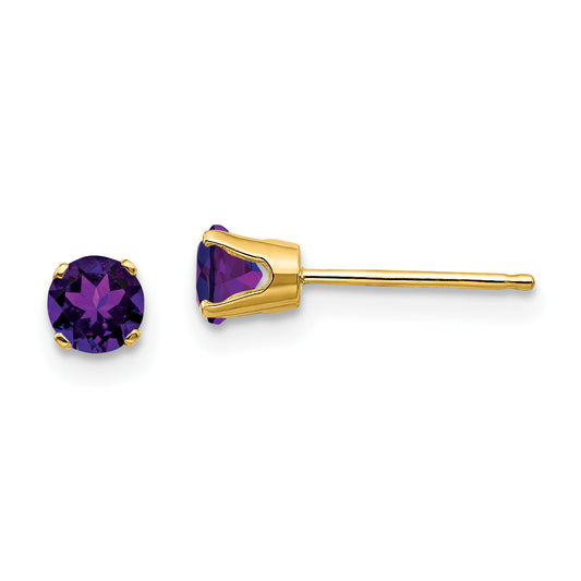 14K Yellow Gold 4mm February/Amethyst Post Earrings