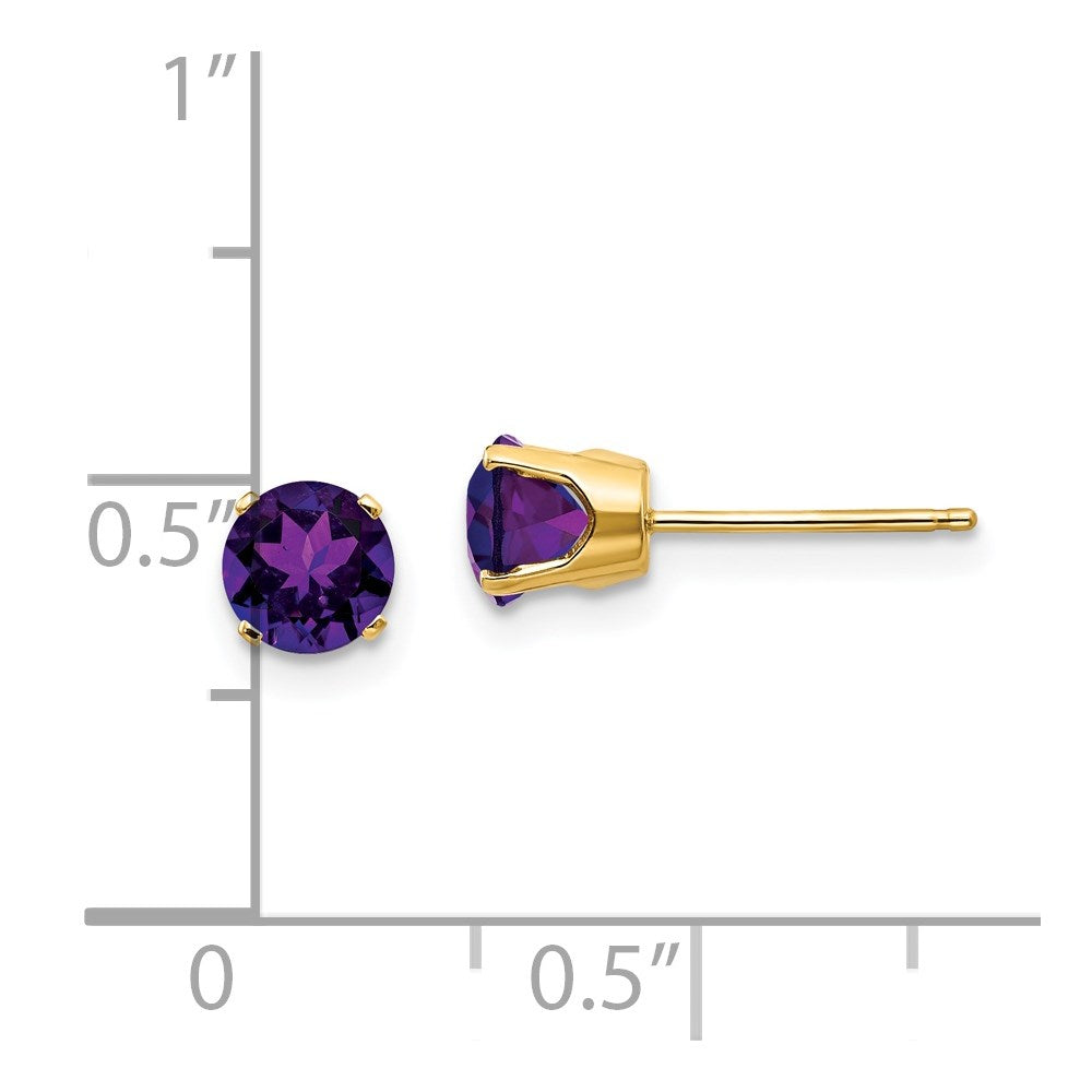 14K Yellow Gold 5mm Amethyst Earrings February