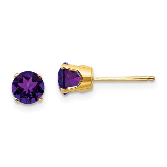 14K Yellow Gold 5mm Amethyst Earrings February
