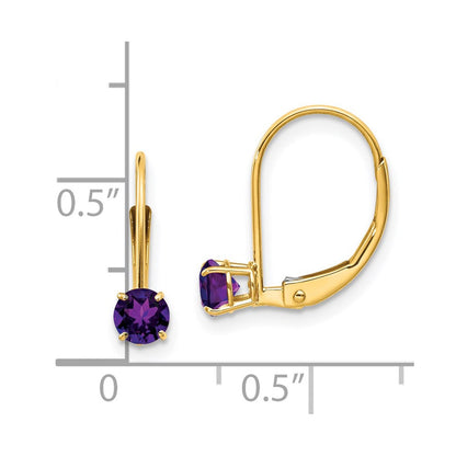 14K Yellow Gold Amethyst Earrings February