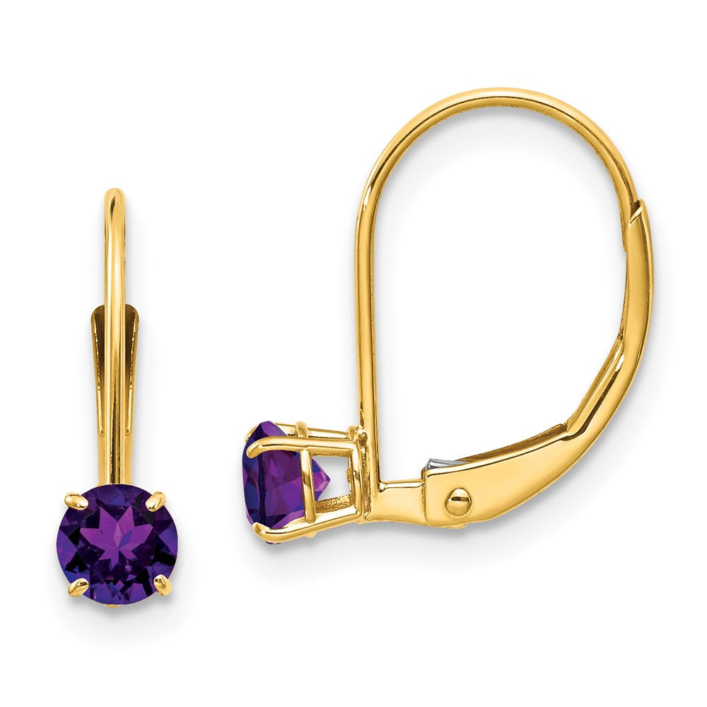 14K Yellow Gold Amethyst Earrings February