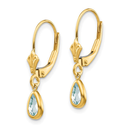 14K Yellow Gold 6X4mm March/Aquamarine Earrings