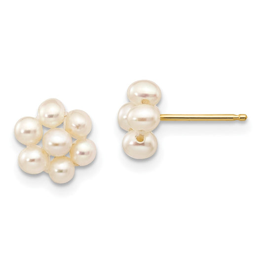 14K Yellow Gold 2 3mm White Egg Freshwater Cultured Pearl Flower Earrings