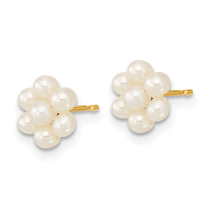 14K Yellow Gold 2 3mm White Button Freshwater Cultured Pearl Flower Earrings