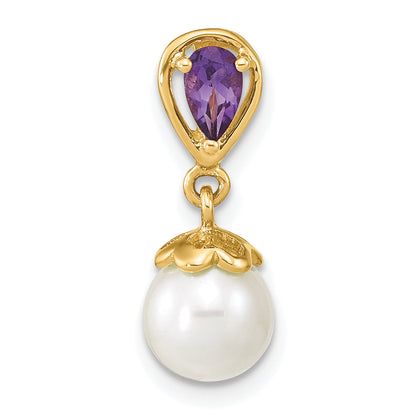 14k Yellow Gold 14K Gold w/ Amethyst & Freshwater Cultured Pearl Polished Chain Slide