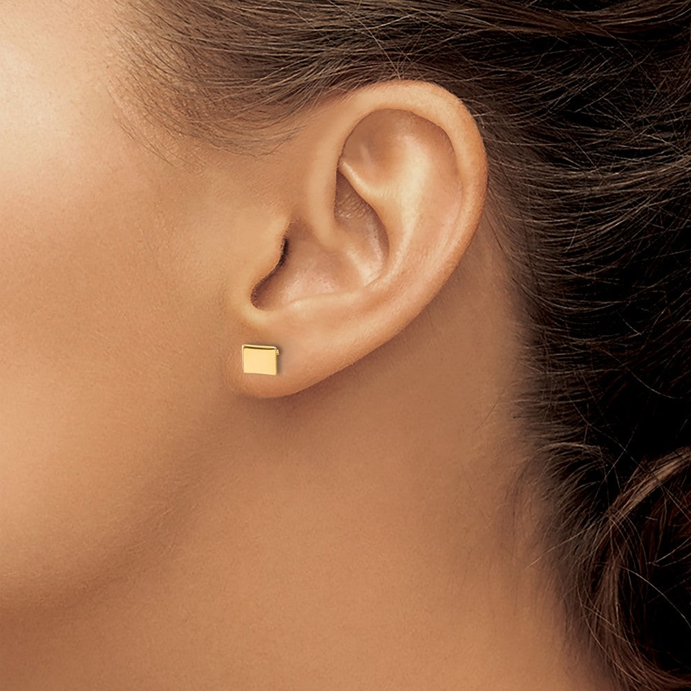 Gold Plated Sterling Silver/Gold Colorado State Earrings