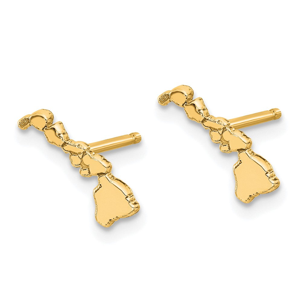 14K Yellow Gold 14Ky Hawaii State Earrings