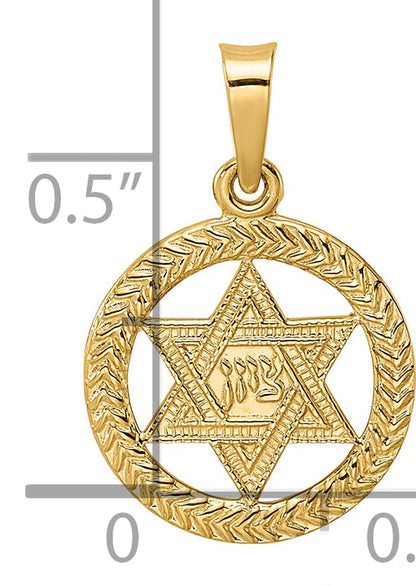 14K Yellow Gold Polished And Textured Solid Star Of David In Frame Pendant