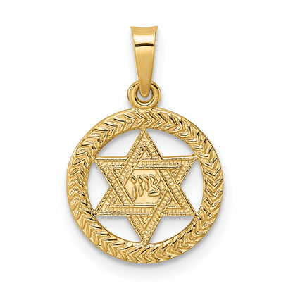 14K Yellow Gold Polished And Textured Solid Star Of David In Frame Pendant