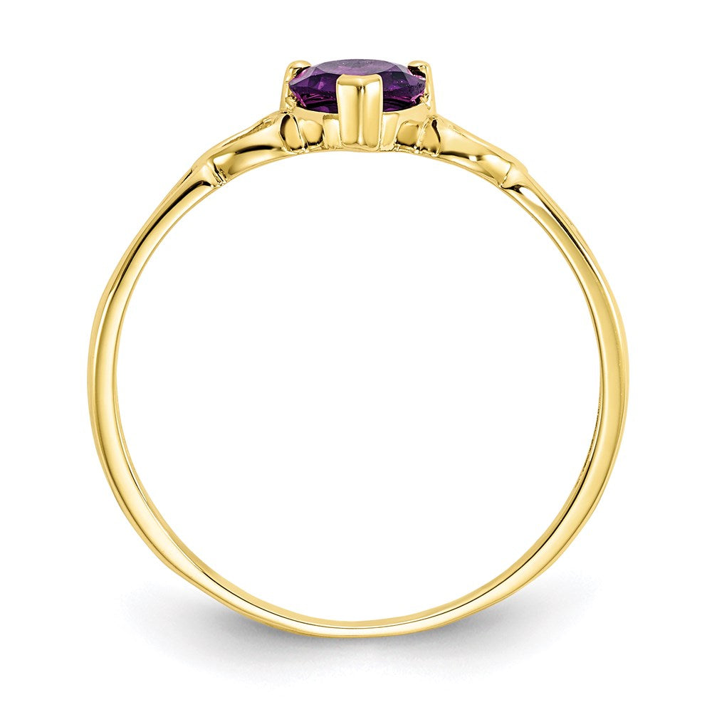 10k yellow gold polished geniune amethyst birthstone ring 10xbr155