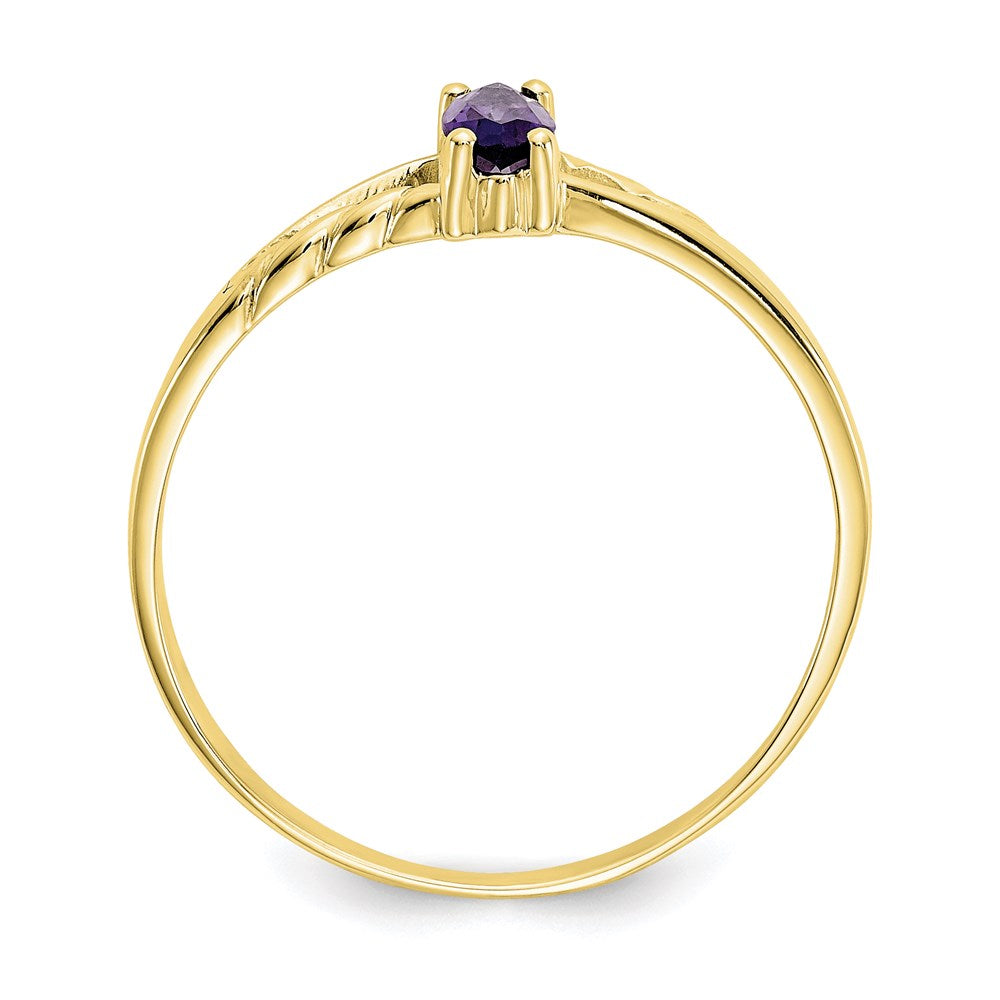 10k yellow gold polished geniune amethyst birthstone ring 10xbr179
