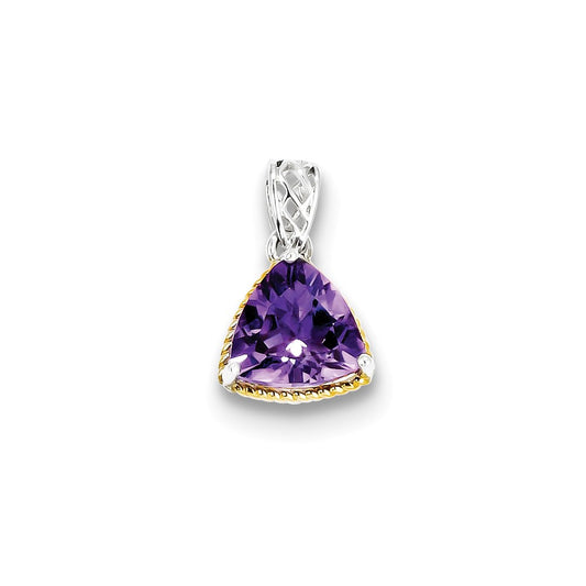 Sterling Silver w/ Flash Gold-plate Accent Amethyst Pendant