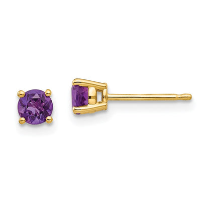14k Yellow Gold 4mm Amethyst Earrings XE71AM
