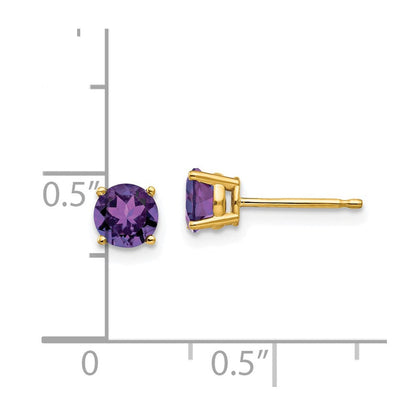 14k Yellow Gold 5mm Amethyst Post Earrings XE72AM