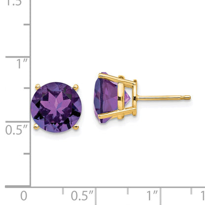 14k Yellow Gold 10mm Amethyst Earrings XE77AM