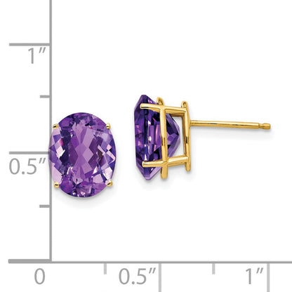 14k Yellow Gold 10x8mm Oval Amethyst Earrings XE90AM
