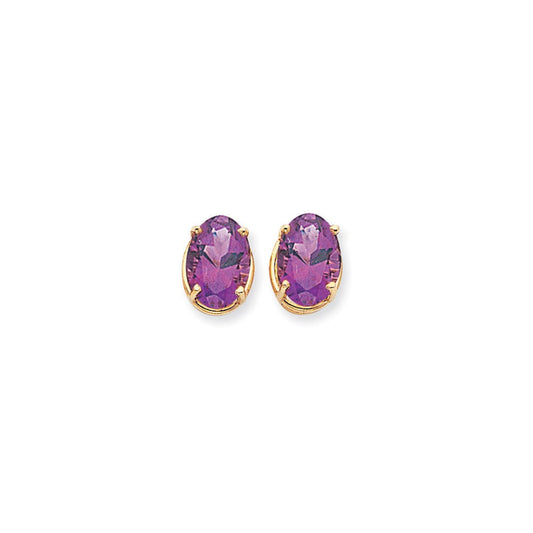 14k Yellow Gold 14x10mm Oval Amethyst Checker Earrings XE92AC