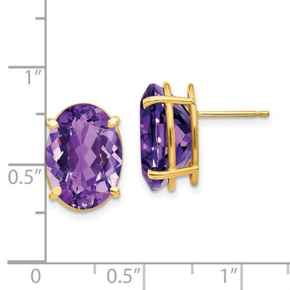 14k Yellow Gold 14x10mm Oval Amethyst Earrings XE92AM