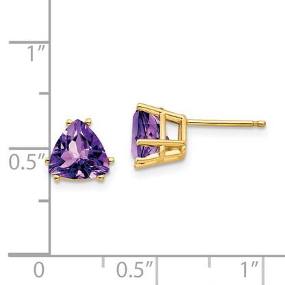 14k Yellow Gold 7mm Trillion Amethyst Earrings XE95AM