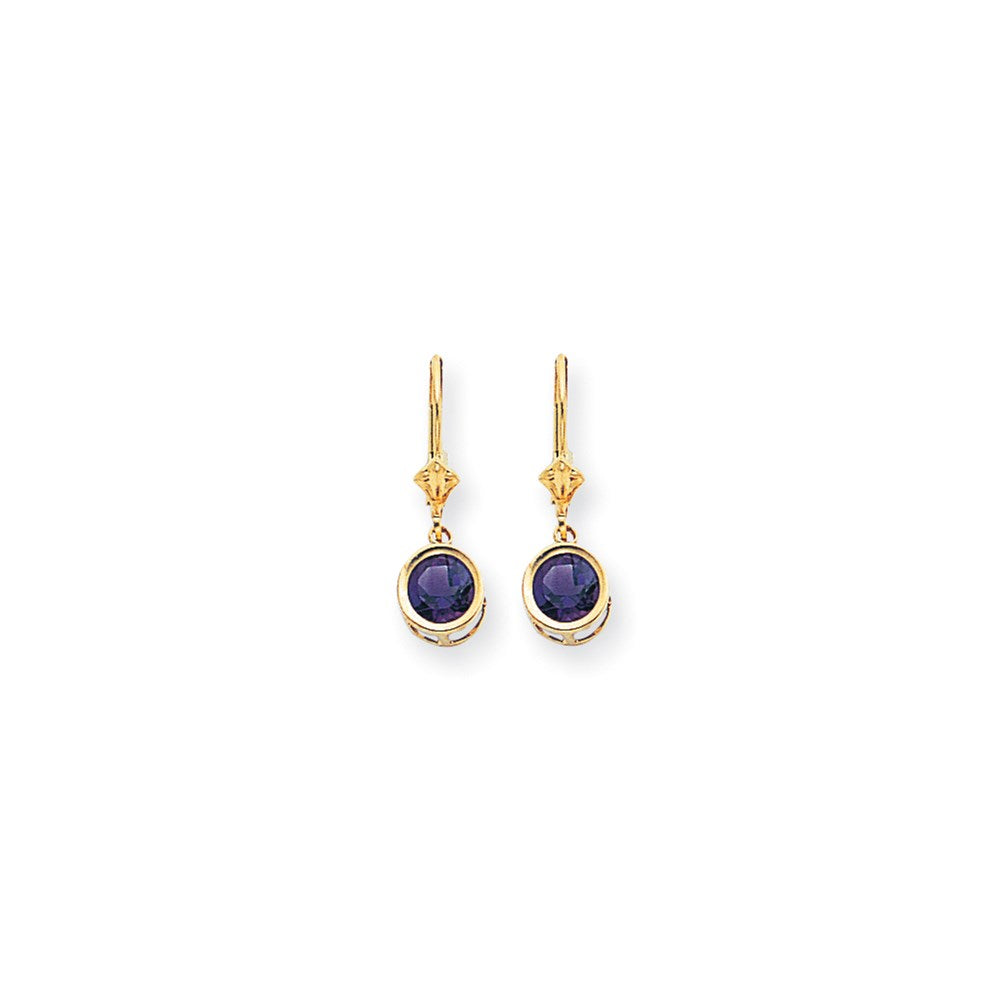 14k Yellow Gold 6mm Amethyst Checker leverback Earrings XLB101AC
