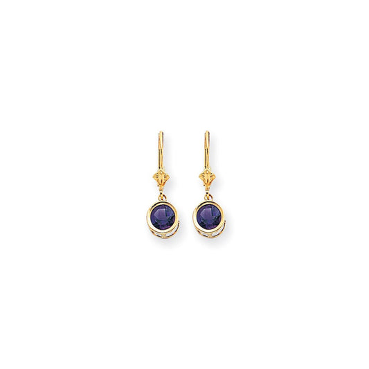 14k Yellow Gold 6mm Amethyst Checker leverback Earrings XLB101AC