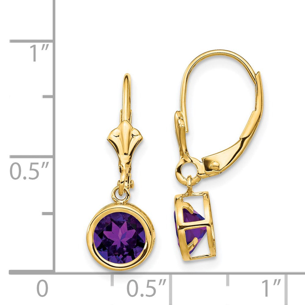 14k Yellow Gold 6mm Amethyst Leverback Earrings XLB101AM