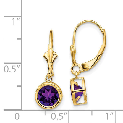 14k Yellow Gold 6mm Amethyst Leverback Earrings XLB101AM