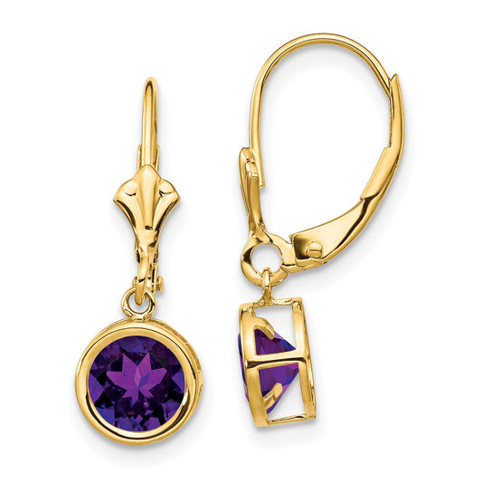 14k Yellow Gold 6mm Amethyst Leverback Earrings XLB101AM