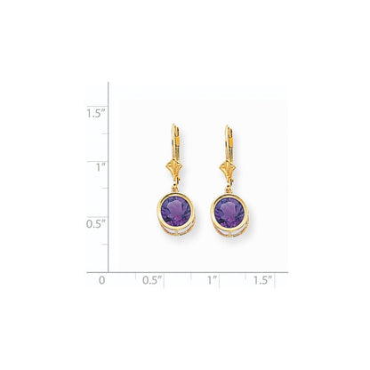 14k Yellow Gold 8mm Amethyst Leverback Earrings XLB102AM