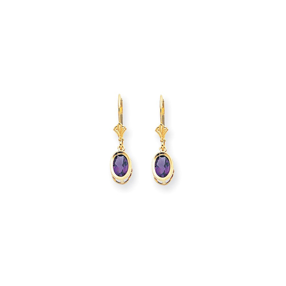 14k Yellow Gold 7x5mm Oval Amethyst Checker leverback Earrings XLB106AC